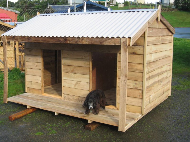 Clean yard with dog-friendly landscaping