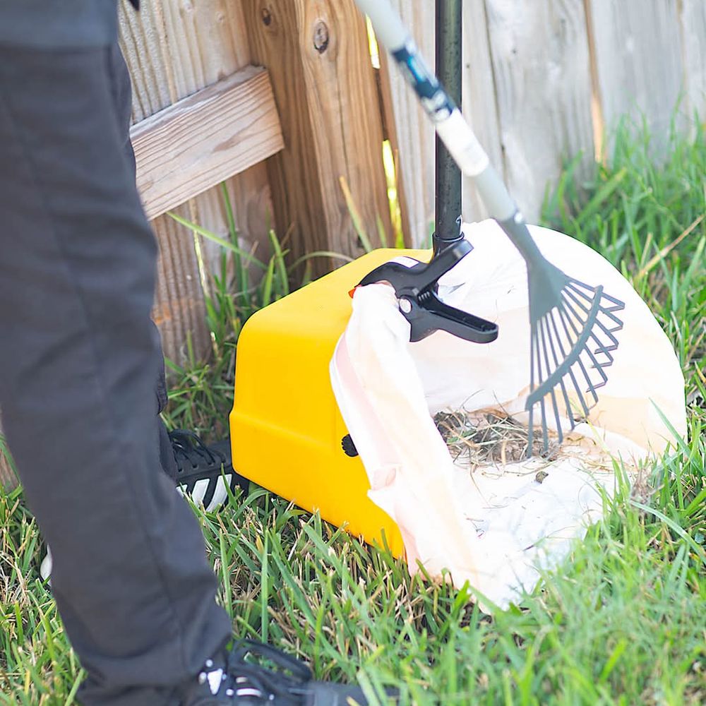 Dog enjoying a freshly cleaned yard
